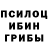 Псилоцибиновые грибы Magic Shrooms Melena Fors
