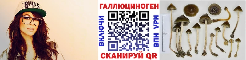Псилоцибиновые грибы MAGIC MUSHROOMS  сколько стоит  МЕГА как зайти  Дятьково 